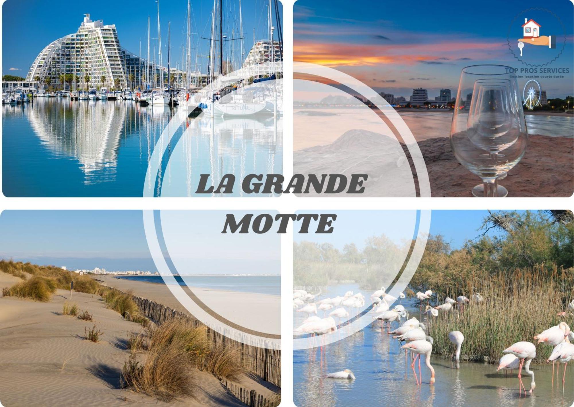 Apartment L'amazone Plein Centre Plages A 2min Clim Wifi Sur Le Port - Prosconciergerie- *